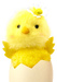 small_photo