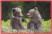 small_photo