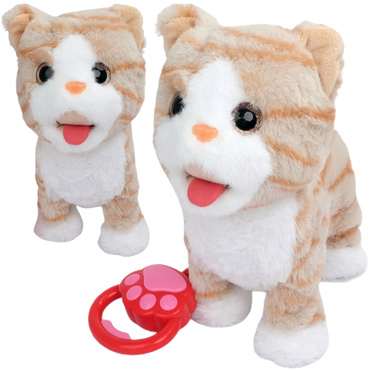 KOTEK INTERAKTYWNY CHODZĄCY NA SMYCZY KOT CHODZI MIAUCZY MERDA LIŻE REAGUJE NA DOTYK