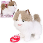 INTERAKTYWNY KOTEK CHODZĄCY NA SMYCZY chodzi miauczy BIAŁO-RUDY KOT NATALIA