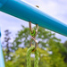 small_photo