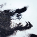 small_photo