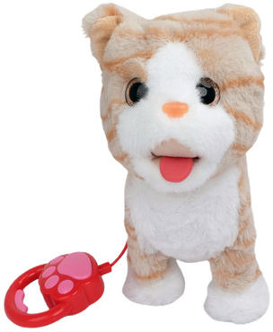 KOTEK INTERAKTYWNY CHODZĄCY NA SMYCZY KOT CHODZI MIAUCZY MERDA LIŻE REAGUJE NA DOTYK