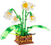 small_photo
