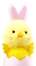 small_photo