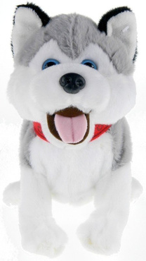 FIGO Mądry Szczeniaczek PIESEK INTERAKTYWNY Husky
