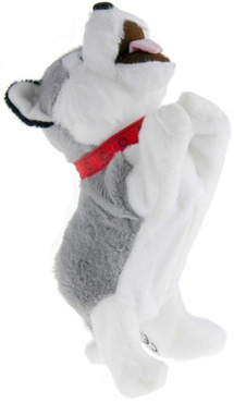 FIGO Mądry Szczeniaczek PIESEK INTERAKTYWNY Husky
