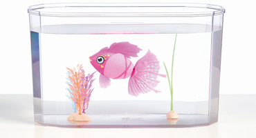 PŁYWAJĄCA RYBKA LITTLE LIVE PETS + AKWARIUM 