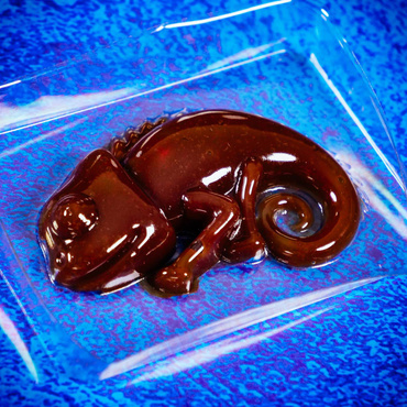SLIME KAMELEON ZESTAW CRAZY SCIENCE LISCIANI 