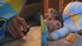 small_photo