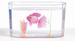 small_photo